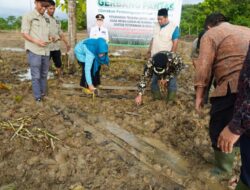 Tertibkan Ternak Berbasis Pemberdayaan, Dr Nurdin Gagas Gerbang Pantas Di Aceh Jaya