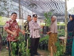 Tekan Inflasi, 900 KK di Aceh Jaya Diberikan Bantuan Cabe