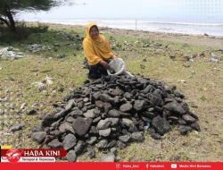 Batu Bara Tumpah di Laut, FJL Aceh Desak Pemerintah Aceh Awasi Kinerja PT Mifa Bersaudara