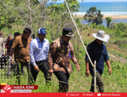 Pj Bupati Aceh Jaya bersama Kadis Peternakan Aceh Tinjau Lokasi Penanaman Rumput di Gampong Kuala Ligan