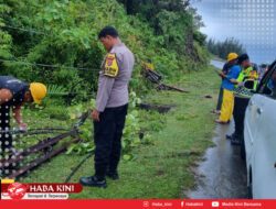 Gerak Cepat PLN atasi Tiang Tumbang di Aceh Jaya