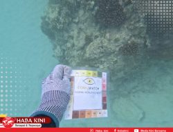 Kondisi Terumbu Karang di Pulo Aceh Mengkhawatirkan