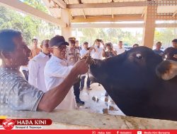 Jelang Meugang Ramadhan, Pj Murtala Tinjau Sejumlah Pasar termasuk Pasar Hewan