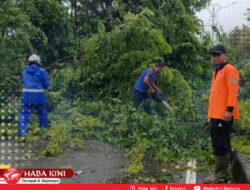 Aceh Jaya Dilanda Angin Kencang, Sejumlah Pohon Tumbang Tutupi Badan Jalan