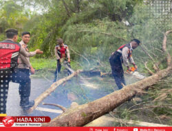Respons Cepat Kepolisian Aceh Jaya, Bersihkan Pohon Tumbang di Dayah Baro