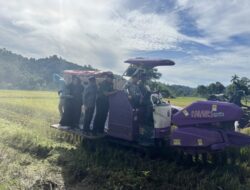 Bupati Wabup Aceh Jaya Hadiri Panen Raya Padi Serentak di Gampong Babah Dua