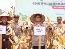 Kapolda Marzuki Panen 24,5 Ton Jagung pada Kuartal III di Aceh Jaya