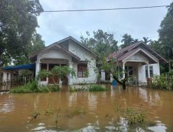 Hujan Lebat Guyur Aceh Jaya, 8 Kecamatan Terdampak Banjir Luapan