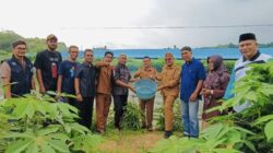 BUMG Alue Punti Pasie Raya Panen Ikan Lele Perdana