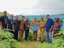 BUMG Alue Punti Pasie Raya Panen Ikan Lele Perdana