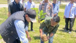Hutan Aceh Rusak Parah, Ketua LPLHI-LKHI Aceh Pertanyakan Peran Wali Nanggroe