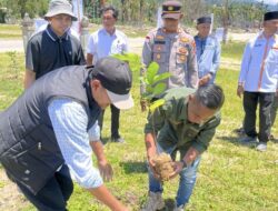 Hutan Aceh Rusak Parah, Ketua LPLHI-LKHI Aceh Pertanyakan Peran Wali Nanggroe