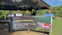 Bupati Aceh Jaya Terima 11 Ekor Hewan Kurban dari Bank Aceh Cabang Calang