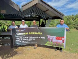 Bupati Aceh Jaya Terima 11 Ekor Hewan Kurban dari Bank Aceh Cabang Calang