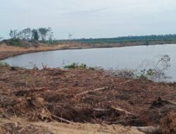 Tabir Hilangnya Hutan di dua Lokasi Wisata Laoet Bhee dan Loet Ni di Aceh Jaya Akankah Terungkap?