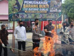 Musnahkan Barang Bukti Ganja, Kapolres Aceh Selatan Tegaskan Komitmen Berantas Narkotika