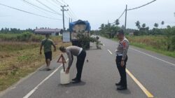 Tekan Angka Kecelakaan, Sat lantas Polres Aceh Jaya Ingatkan Sopir Patuhi Rambu Lalin