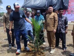 Bupati Aceh Jaya Lakukan Penanaman Perdana Lahan Sawit Eks Kombatan di Teunom