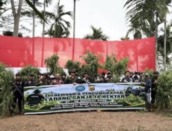 Polda Aceh Musnahkan 18 Hektare Ladang Ganja di Aceh Utara, 4 Pelaku Diamankan